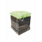  Mila-Roses-01360 Mila Acrylic Black Marble - Mint