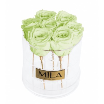 Produit Mila-Roses-01369 Mila Acrylic Round - Mint