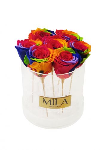 Produit Mila-Roses-01370 Mila Acrylic Round - Rainbow