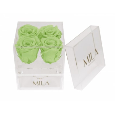 Produit Mila-Roses-01372 Mila Acrylic Mini Bijou - Mint