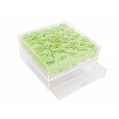 Produit Mila-Roses-01378 Mila Acrylic Large Bijou - Mint