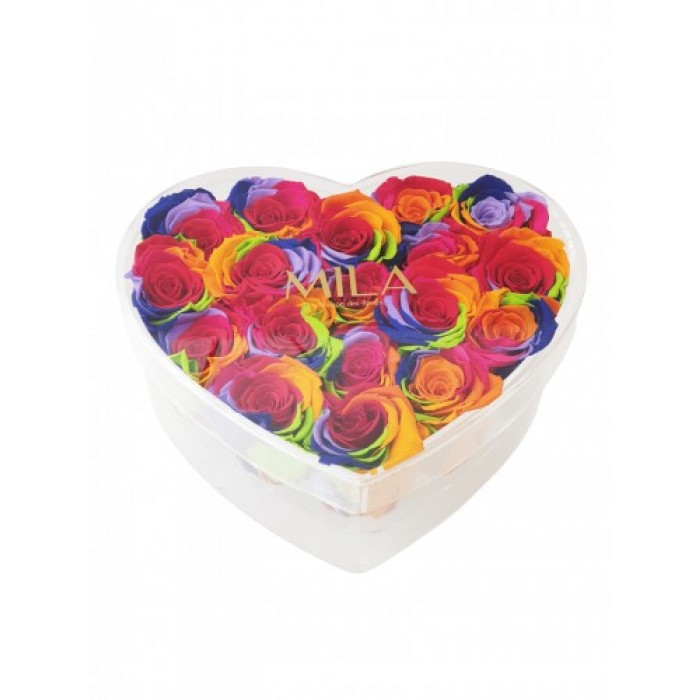 Mila Acrylic Large Heart - Rainbow