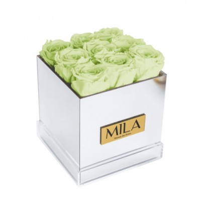 Produit Mila-Roses-01387 Mila Acrylic Mirror - Mint