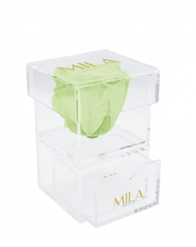 Produit Mila-Roses-01393 Mila Acrylic Baby Bijou - Mint