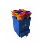  Mila-Roses-01398 Mila Velvet Mini Royal Blue Velvet Mini - Rainbow