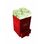  Mila-Roses-01406 Mila Velvet Mini Red Velvet Mini - Mint