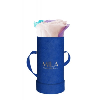 Produit Mila-Roses-01408 Mila Velvet Baby Royal Blue Velvet Baby - Sweet Candy