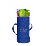  Mila-Roses-01410 Mila Velvet Baby Royal Blue Velvet Baby - Rainbow