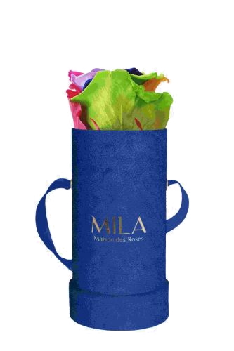 Produit Mila-Roses-01410 Mila Velvet Baby Royal Blue Velvet Baby - Rainbow