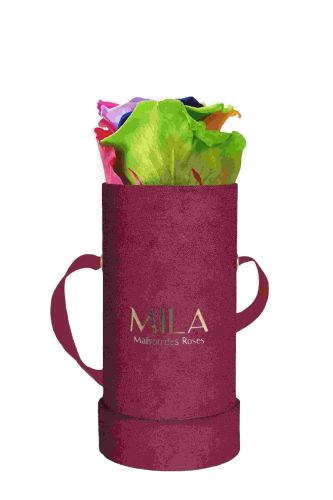 Produit Mila-Roses-01419 Mila Velvet Baby Burgundy Velvet Baby - Rainbow