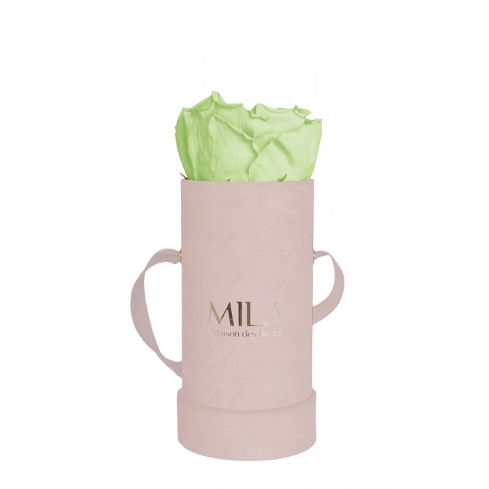 Mila Velvet Baby Old Pink Velvet Baby - Mint