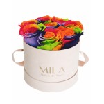  Mila-Roses-01428 Mila Velvet Small Nude Velvet Small - Rainbow