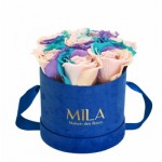  Mila-Roses-01429 Mila Velvet Small Royal Blue Velvet Small - Sweet Candy