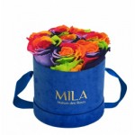  Mila-Roses-01431 Mila Velvet Small Royal Blue Velvet Small - Rainbow