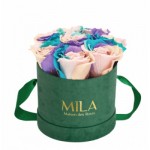  Mila-Roses-01432 Mila Velvet Small Emeraude Velvet Small - Sweet Candy