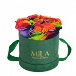  Mila-Roses-01434 Mila Velvet Small Emeraude Velvet Small - Rainbow