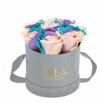  Mila-Roses-01435 Mila Velvet Small Light Grey Velvet Small - Sweet Candy