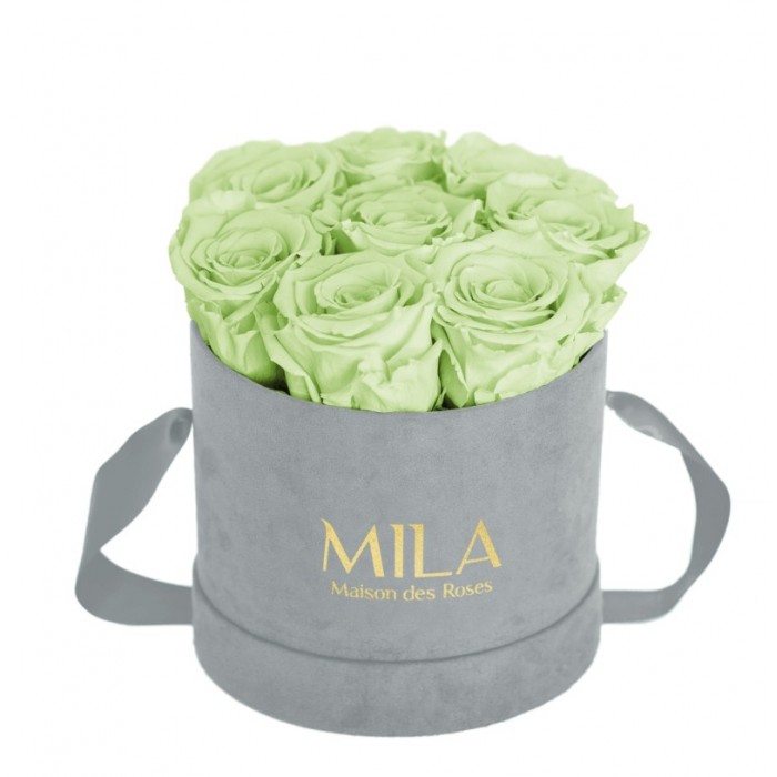 Mila Velvet Small Light Grey Velvet Small - Mint