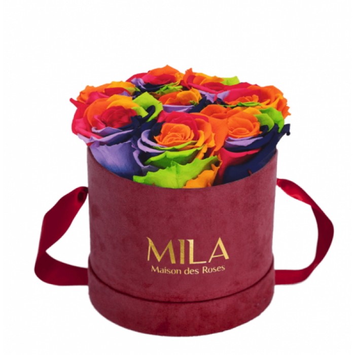 Mila Velvet Small Burgundy Velvet Small - Rainbow