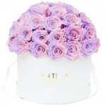  Mila-Roses-01549 Mila Classique Large Dome Blanc Classique - Vintage rose