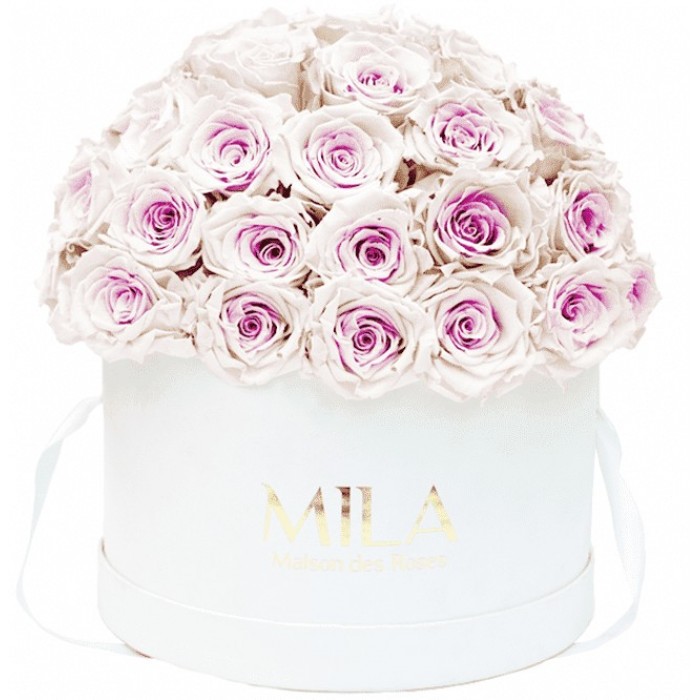 Mila Classique Large Dome Blanc Classique - Pink bottom