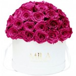  Mila-Roses-01552 Mila Classique Large Dome Blanc Classique - Fuchsia