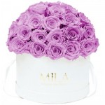  Mila-Roses-01555 Mila Classique Large Dome Blanc Classique - Mauve