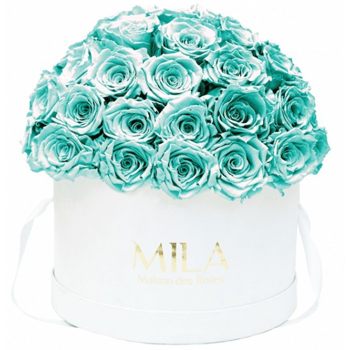 Mila Classique Large Dome Blanc Classique - Aquamarine