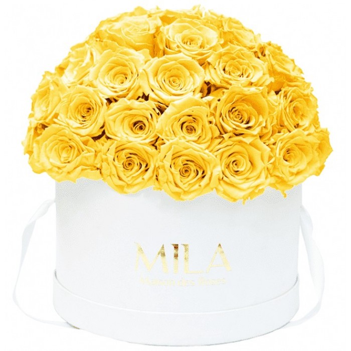 Mila Classique Large Dome