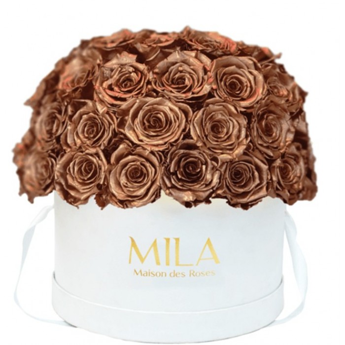 Mila Classique Large Dome Blanc Classique - Metallic Copper