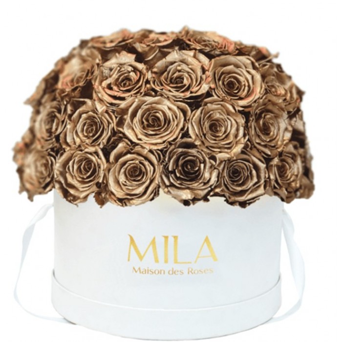 Mila Classique Large Dome Blanc Classique - Metallic Gold