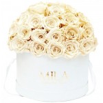  Mila-Roses-01564 Mila Classique Large Dome Blanc Classique - Champagne