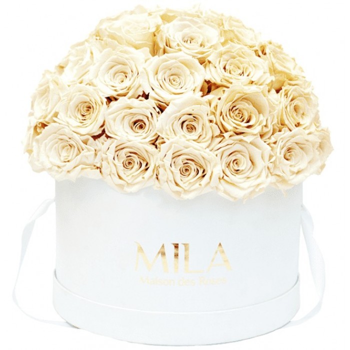 Mila Classique Large Dome Blanc Classique - Champagne