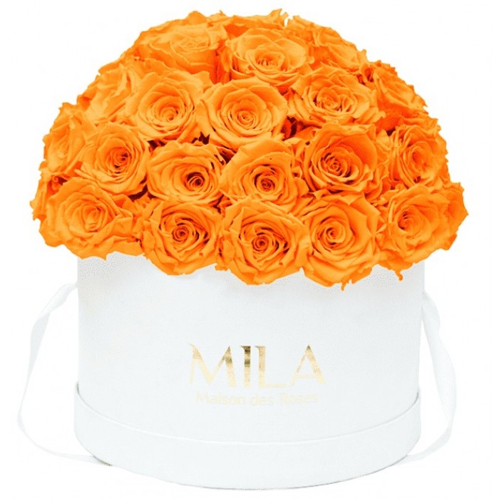 Mila Classique Large Dome Blanc Classique - Orange Bloom