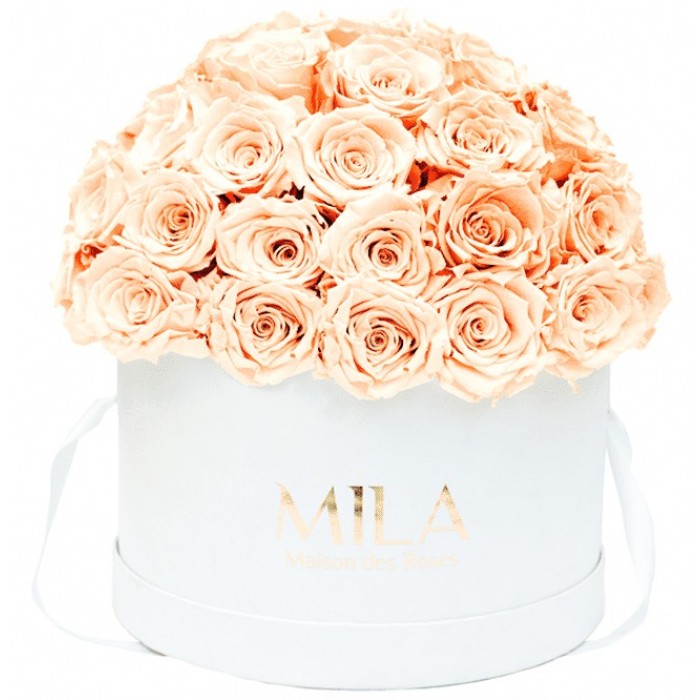 Mila Classique Large Dome Blanc Classique - Pure Peach