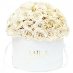  Mila-Roses-01572 Mila Classique Large Dome Blanc Classique - White Cream