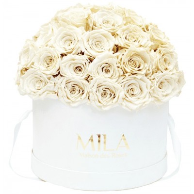 Produit Mila-Roses-01572 Mila Classique Large Dome Blanc Classique - White Cream