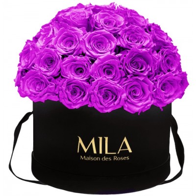 Produit Mila-Roses-01581 Mila Classique Large Dome Noir Classique - Violin