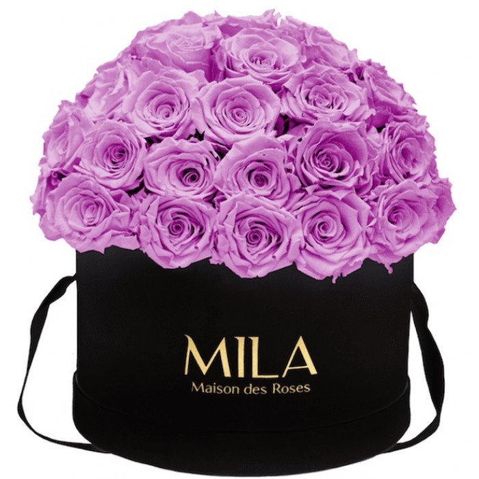 Mila Classique Large Dome Noir Classique - Mauve