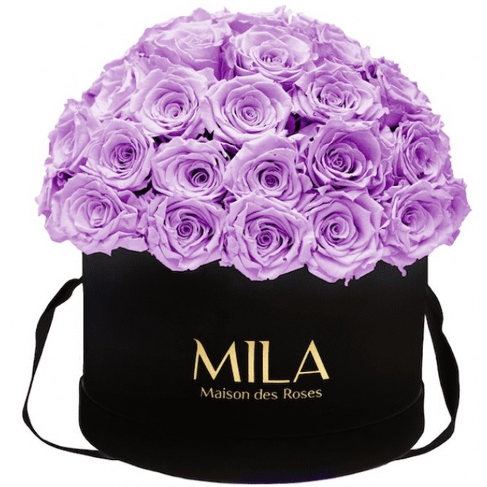 Mila Classique Large Dome Noir Classique - Lavender