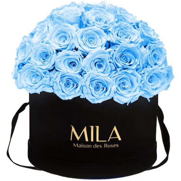 Mila Classique Large Dome Noir Classique - Baby blue