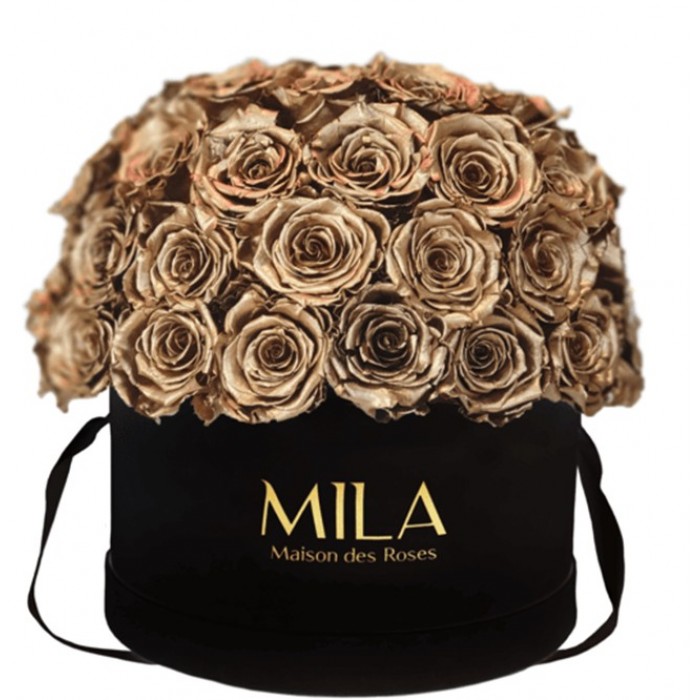 Mila Classique Large Dome Noir Classique - Metallic Gold