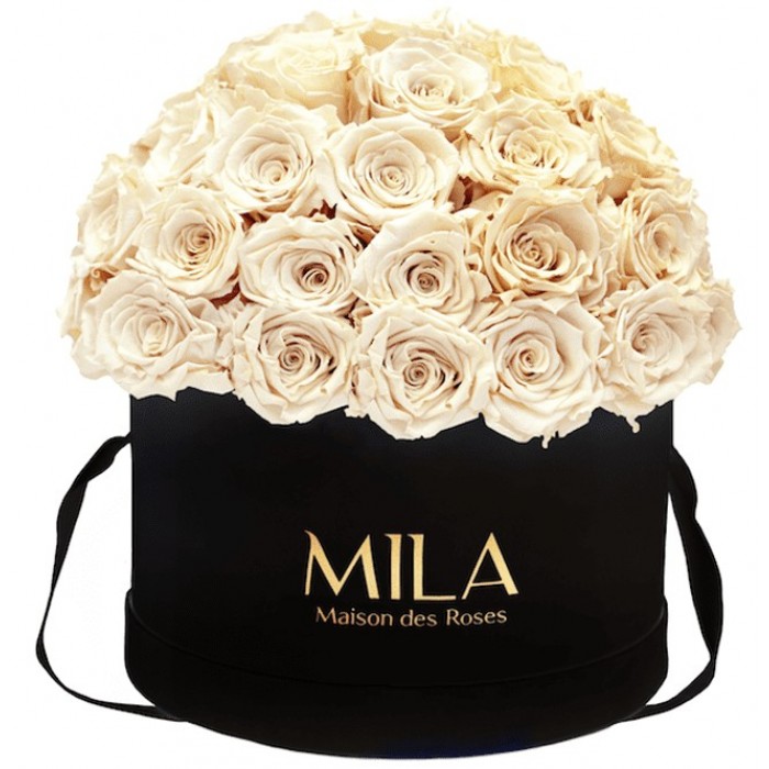 Mila Classique Large Dome Noir Classique - Champagne