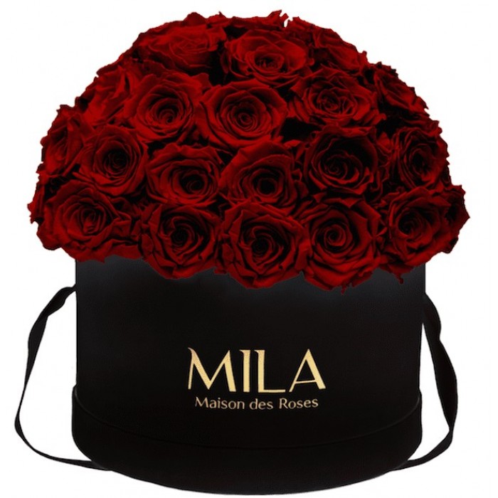 Mila Classique Large Dome