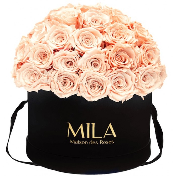 Mila Classique Large Dome Noir Classique - Pure Peach