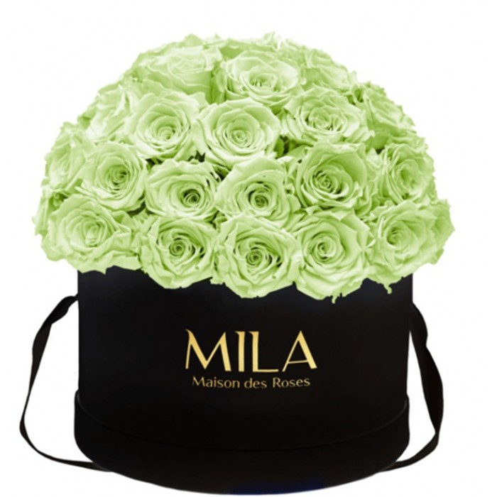 Mila Classique Large Dome Noir Classique - Mint