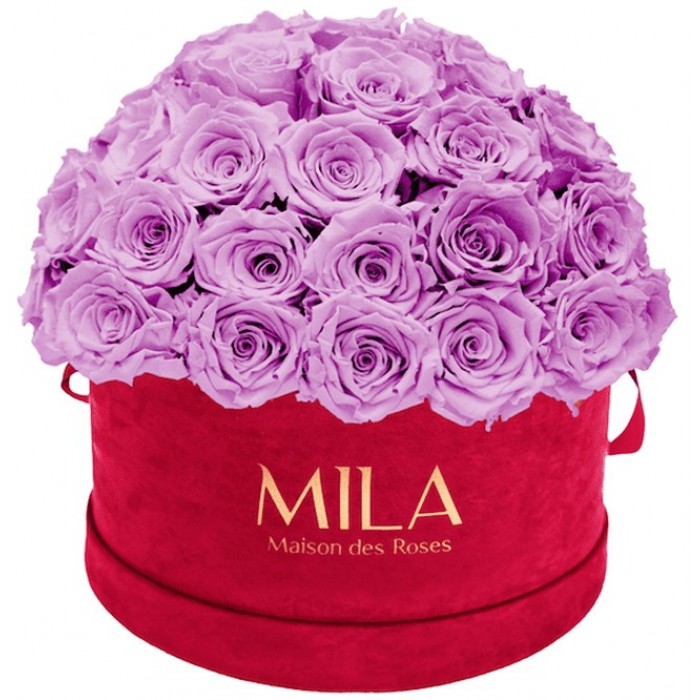 Mila Classique Large Dome Burgundy - Mauve