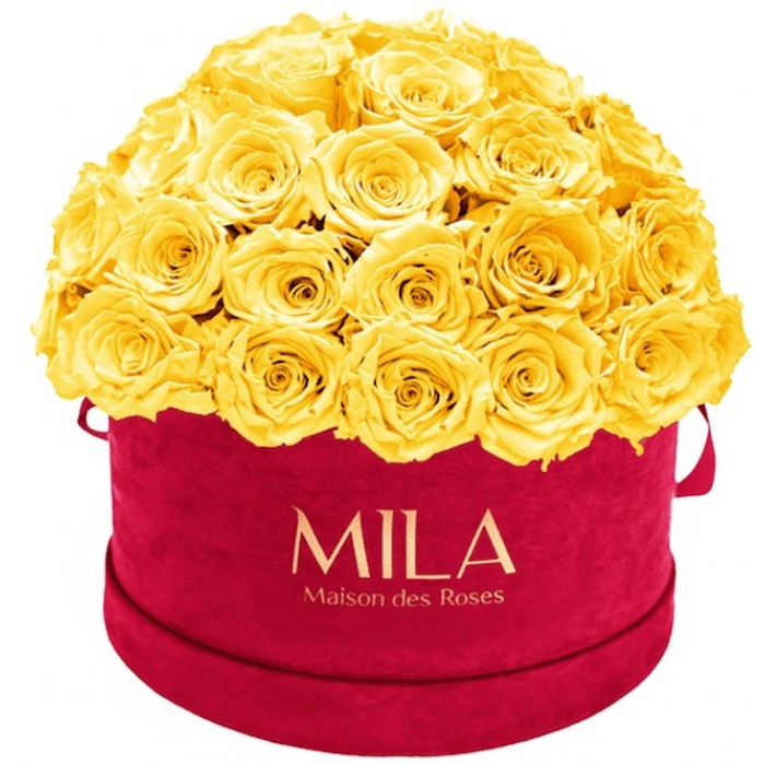 Mila Classique Large Dome Burgundy - Yellow Sunshine