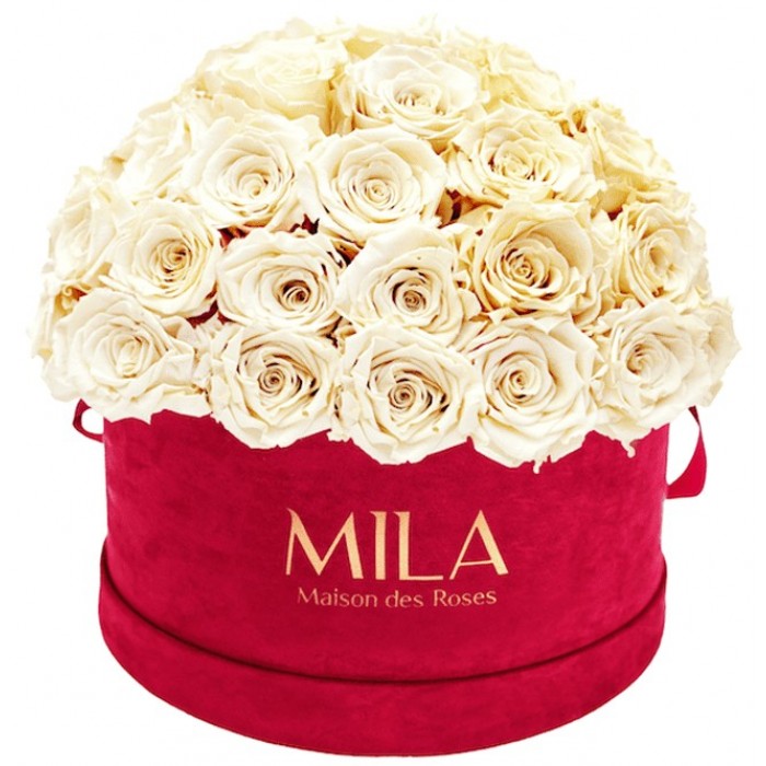 Mila Classique Large Dome Burgundy - Champagne