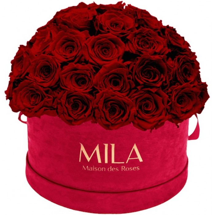 Mila Classique Large Dome Burgundy - Rubis Rouge